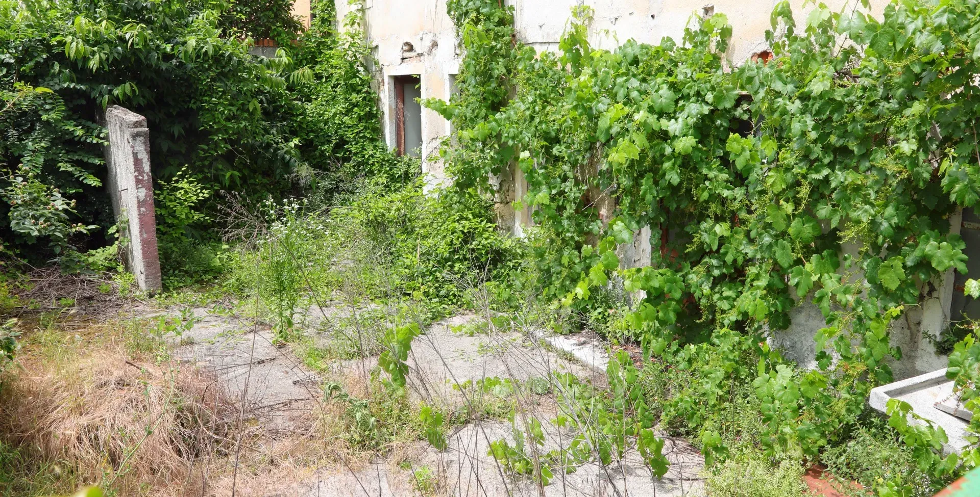 Remise en état de jardin en Seine-et-Marne