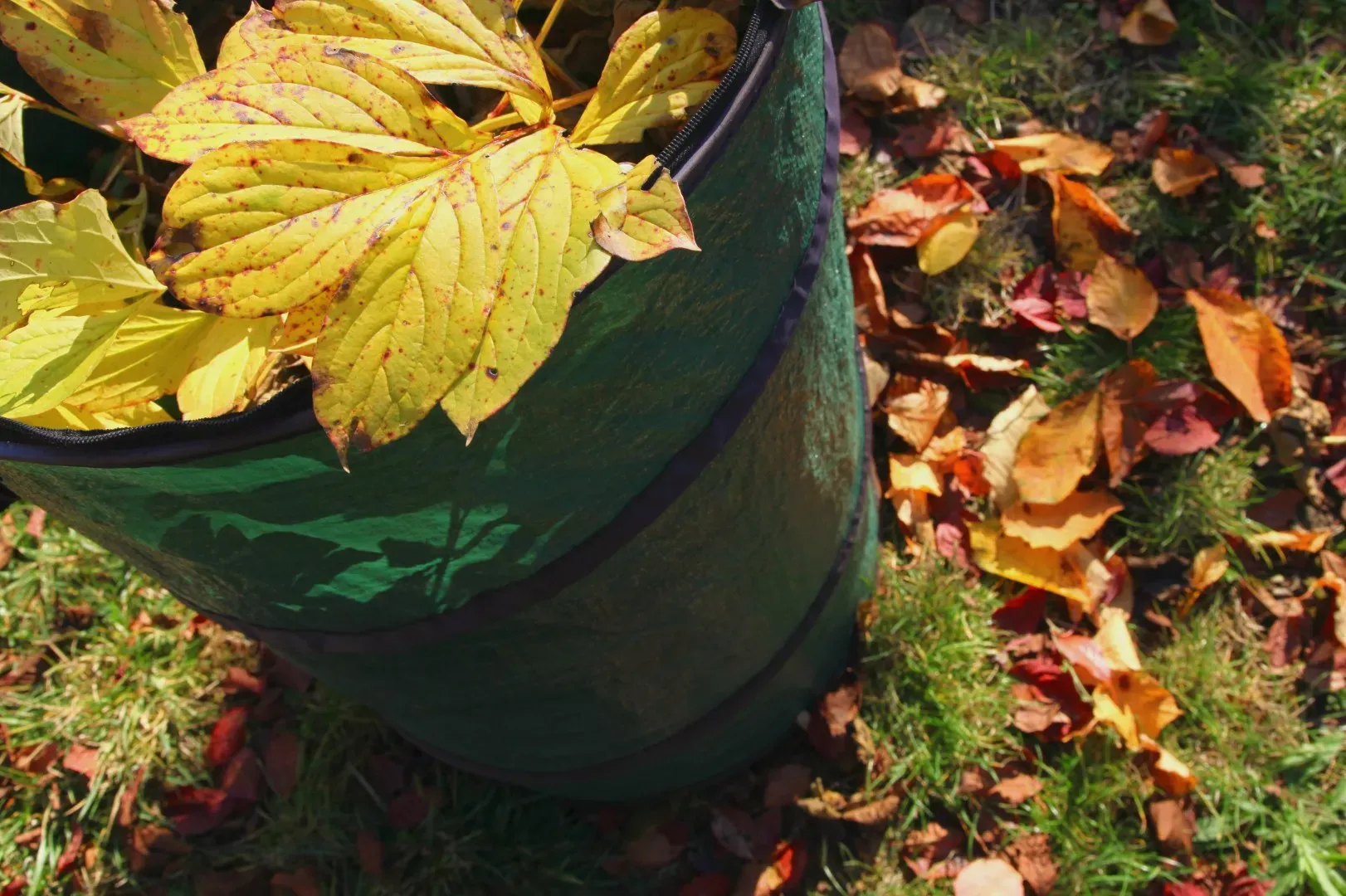 Ramassage des feuilles en Seine-et-Marne