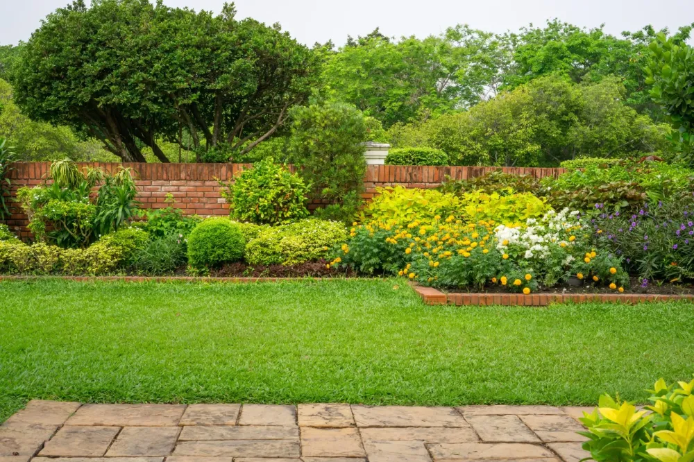 Entretien de jardin près de Mouroux