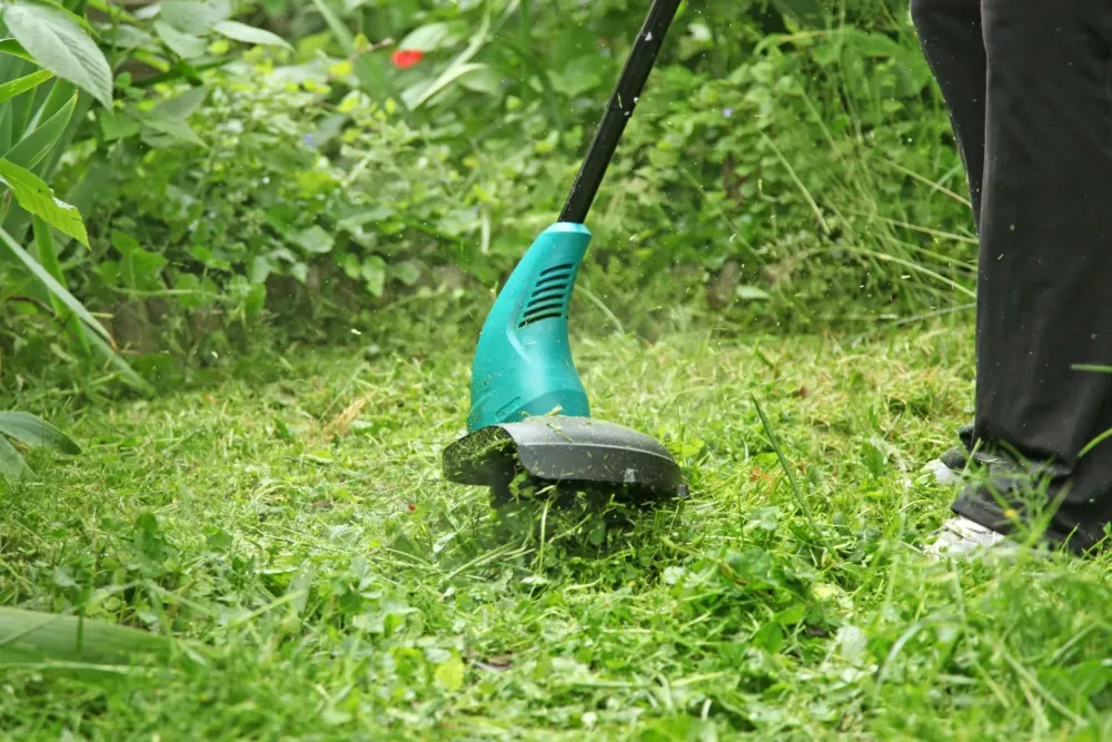 Débroussaillage près de Mouroux